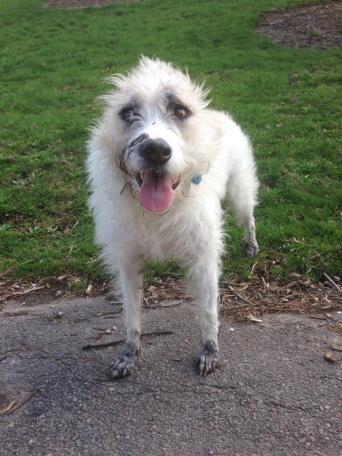 "Uh, no? I didn't go digging in your garden again. Why do you ask?"
