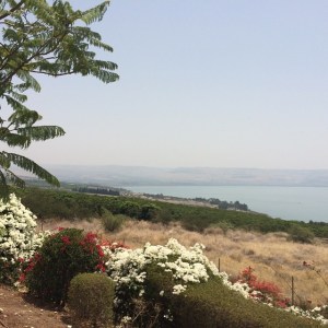 "I'm going, going,  back back to Galilee, Galilee"